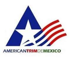 Logo de cliente LIMEX